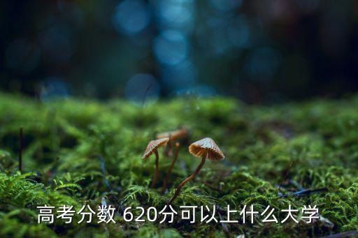 620,武漢這些地方有哪些武器?
