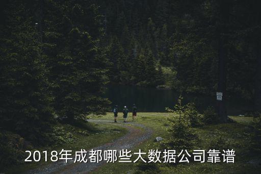大數(shù)據(jù)研發(fā)廠商,大數(shù)據(jù)領(lǐng)域大概有四個大的工作方向