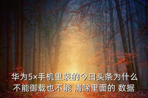  華為5×手機里裝的今曰頭條為什么不能御載也不能 清除里面的 數(shù)據(jù)