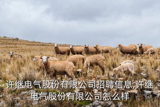 恒進(jìn)自動化設(shè)備有限公司,邯鄲自動化公司是什么?