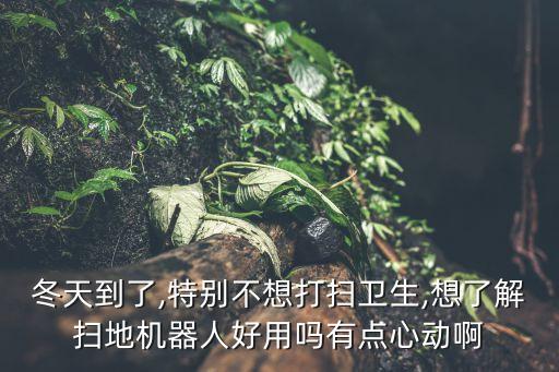 為什么掃地機(jī)器人沒塵袋,小米掃地機(jī)器人漏灰怎么解決?
