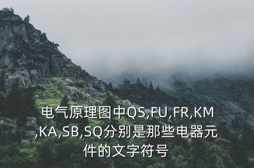 電氣原理圖中QS,FU,FR,KM,KA,SB,SQ分別是那些電器元件的文字符號
