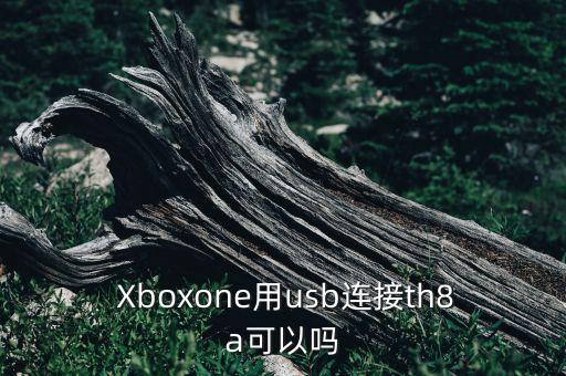  Xboxone用usb連接th8a可以嗎