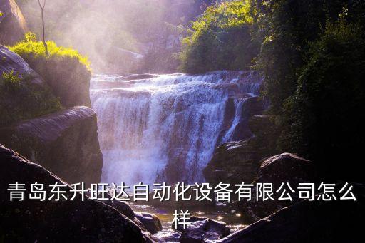 青島東升旺達(dá)自動(dòng)化設(shè)備有限公司怎么樣