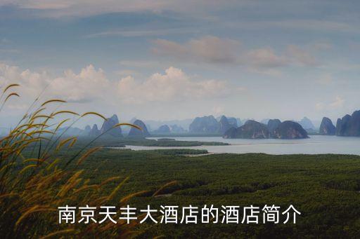 南京天豐大酒店的酒店簡(jiǎn)介