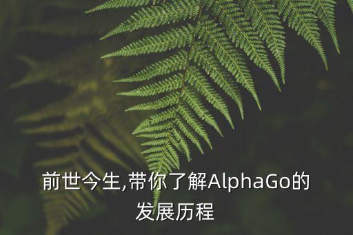 前世今生,帶你了解AlphaGo的發(fā)展歷程