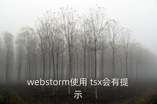 tsx,webstorm使用tsx會(huì)有提示會(huì)