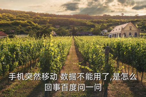 移動(dòng)數(shù)據(jù)無(wú)法打開(kāi)