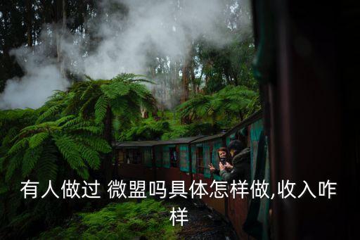 微盟代理政策,微盟朋友圈廣告代理