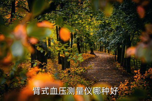 臂式血壓測量儀哪種好