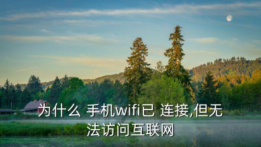為什么手機(jī)開(kāi)了數(shù)據(jù)連接卻沒(méi)網(wǎng)絡(luò)連接不上怎么辦