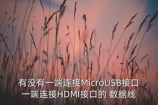 有沒有一端連接MicroUSB接口一端連接HDMI接口的 數(shù)據(jù)線