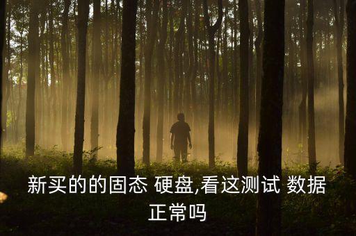 新硬盤檢測數(shù)據(jù),硬盤檢測數(shù)據(jù)錯誤循環(huán)冗余是邏輯壞道嗎