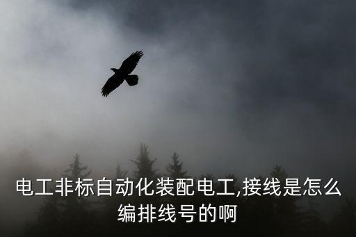 電工非標(biāo)自動化裝配電工,接線是怎么編排線號的啊