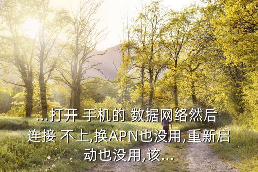 ...打開 手機的 數(shù)據(jù)網(wǎng)絡(luò)然后 連接 不上,換APN也沒用,重新啟動也沒用,該...