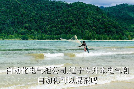 遼寧自動(dòng)化電氣柜公司,遼寧專升本電氣和自動(dòng)化可以混報(bào)嗎