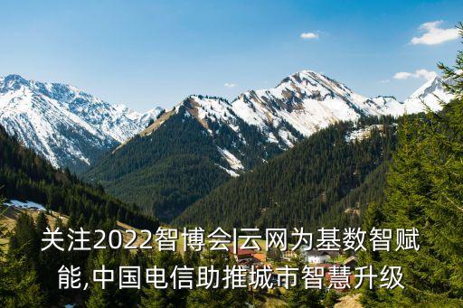 中國(guó)電信與大數(shù)據(jù)中心,中國(guó)最大的大數(shù)據(jù)中心在哪里?
