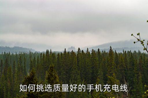 如何挑選質(zhì)量好的手機充電線