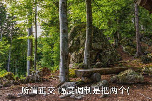 幅度調(diào)制,電力線載波機(jī)調(diào)制方式有雙邊帶幅度調(diào)制和脈沖調(diào)制