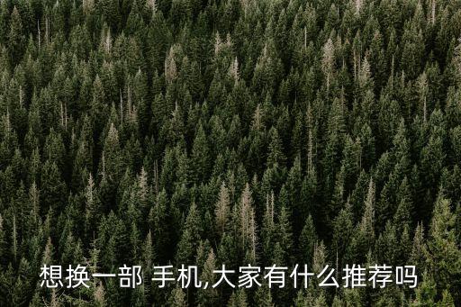 想換一部 手機(jī),大家有什么推薦嗎