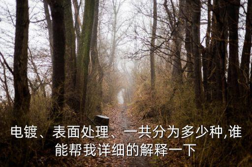 電鍍、表面處理、一共分為多少種,誰能幫我詳細(xì)的解釋一下