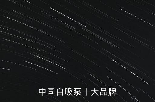 中國自吸泵十大品牌