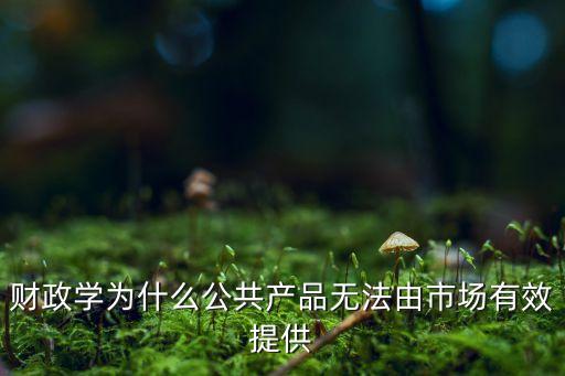 財政學為什么公共產(chǎn)品無法由市場有效提供