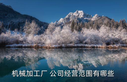 生產(chǎn)自動(dòng)化傳送帶的公司,自動(dòng)化流水線傳送帶