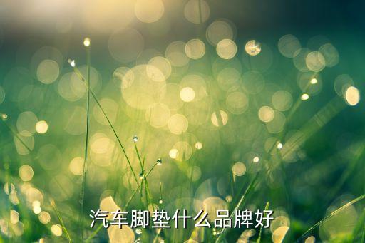 汽車腳墊什么品牌好
