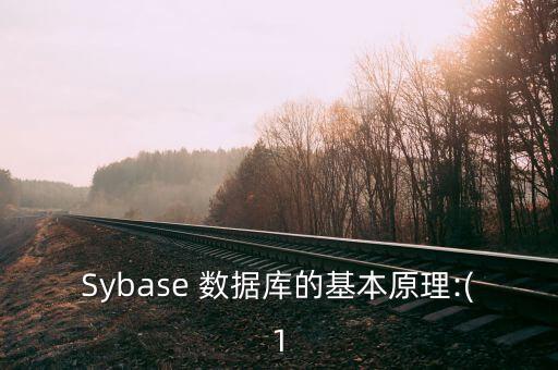 sybase數(shù)據(jù)庫表空間自動(dòng)擴(kuò)展