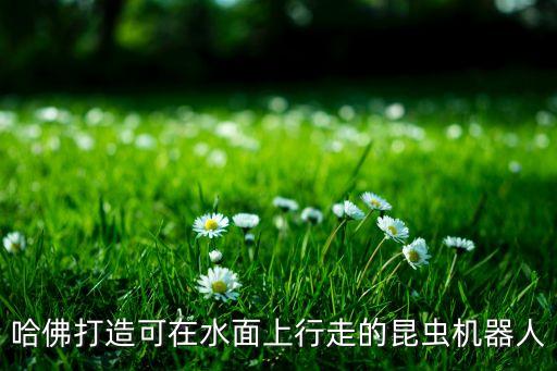 哈佛打造可在水面上行走的昆蟲機(jī)器人