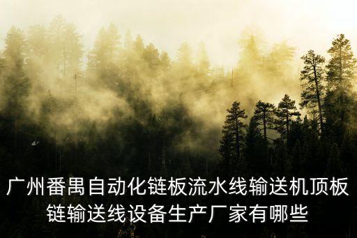 廣州番禺自動化鏈板流水線輸送機(jī)頂板鏈輸送線設(shè)備生產(chǎn)廠家有哪些
