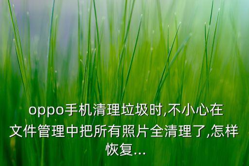  oppo手機(jī)清理垃圾時,不小心在文件管理中把所有照片全清理了,怎樣 恢復(fù)...