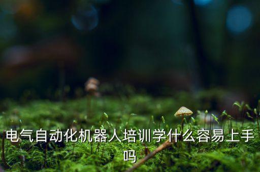 電氣自動(dòng)化機(jī)器人培訓(xùn)學(xué)什么容易上手嗎