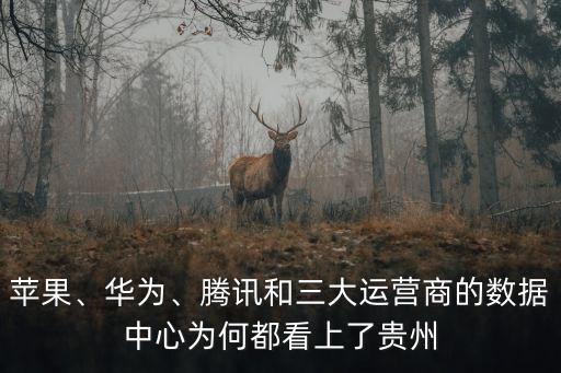 蘋果、華為、騰訊和三大運(yùn)營商的數(shù)據(jù)中心為何都看上了貴州