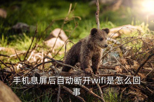 手機(jī)息屏后自動斷開wifi是怎么回事