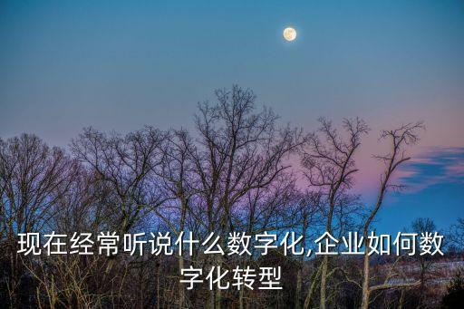 現(xiàn)在經(jīng)常聽(tīng)說(shuō)什么數(shù)字化,企業(yè)如何數(shù)字化轉(zhuǎn)型