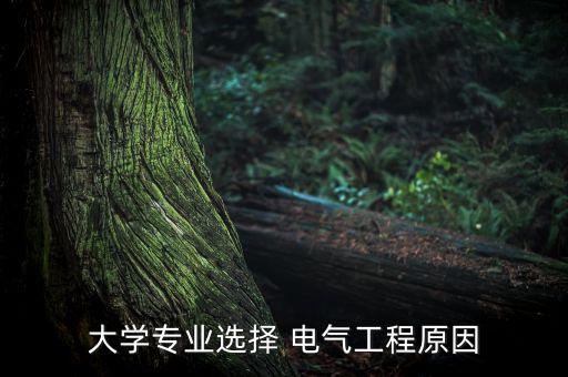 大學(xué)專業(yè)選擇 電氣工程原因