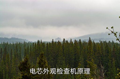 電芯外觀檢查機(jī)原理