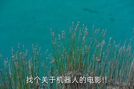 找個(gè)關(guān)于機(jī)器人的電影!!