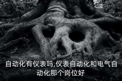 電氣自動化有儀表嗎,儀表自動化和電氣自動化那個崗位好