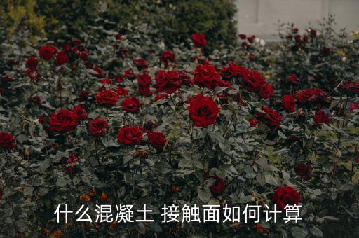 什么混凝土 接觸面如何計(jì)算