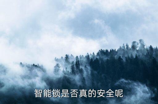 密碼鎖安全嗎,家用防盜門指紋密碼鎖安全嗎