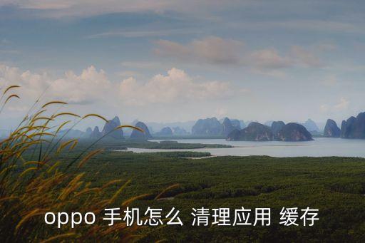oppo 手機(jī)怎么 清理應(yīng)用 緩存