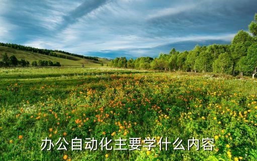 自動(dòng)化設(shè)備達(dá)人,辦公自動(dòng)化需要注意什么?