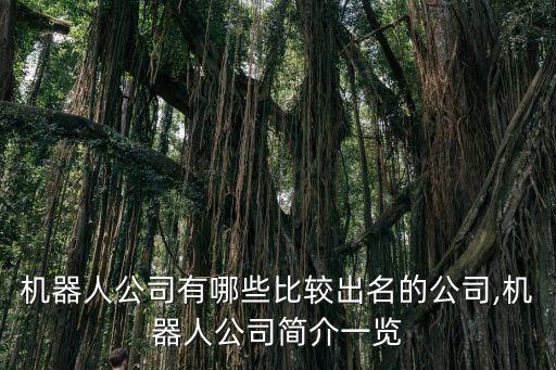 機(jī)器人公司有哪些比較出名的公司,機(jī)器人公司簡(jiǎn)介一覽