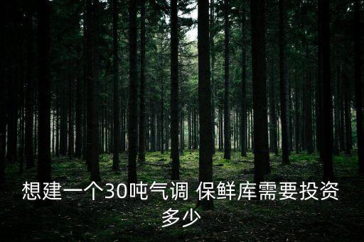 想建一個30噸氣調(diào) 保鮮庫需要投資多少