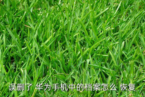 華為移動版系統(tǒng)恢復數(shù)據(jù)包