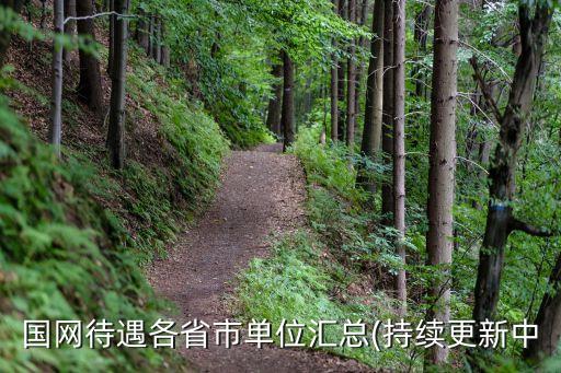 國(guó)網(wǎng)待遇各省市單位匯總(持續(xù)更新中