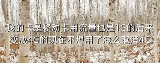 我的卡是移動(dòng)卡用流量也是1G的后來(lái)變成4G的現(xiàn)在不想用了怎么取消4G...